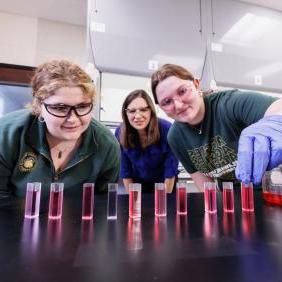 Melissa 朗ston, professor of chemistry, with two students in the chemistry lab.